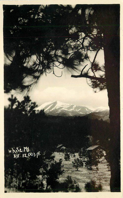1920s White Mountain New Mexico Scenic RPPC real photo postcard 919