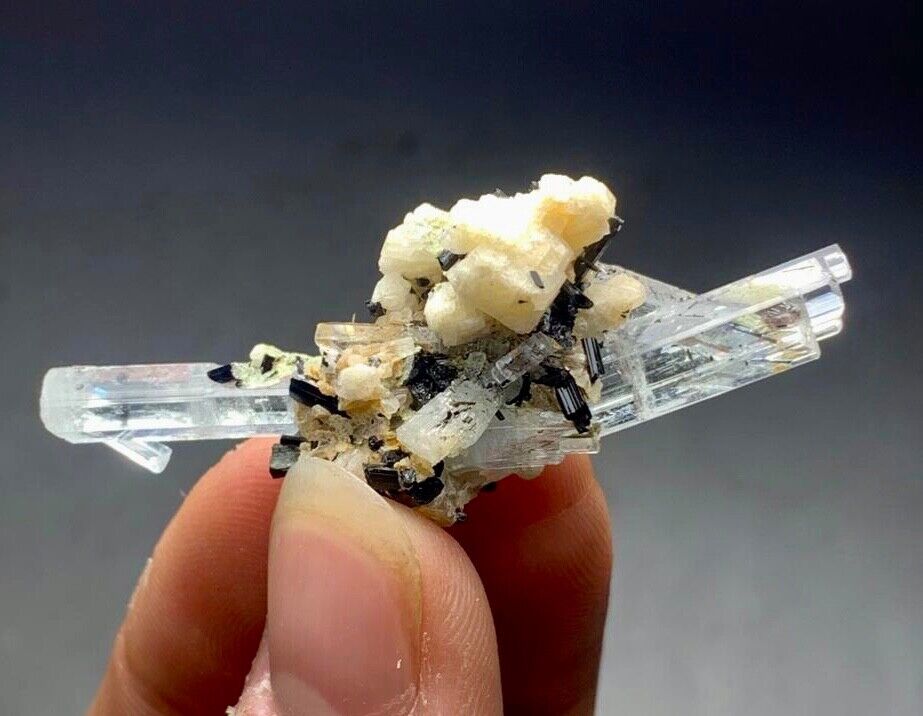 50CTS V Shape Aquamarine Crystal Bunch With Black Tourmaline Spray From Pakistan