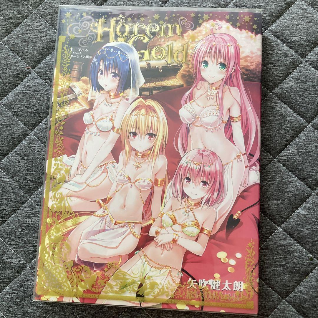 To LOVE Ru Art Book harem gold Anime Goods From Japan