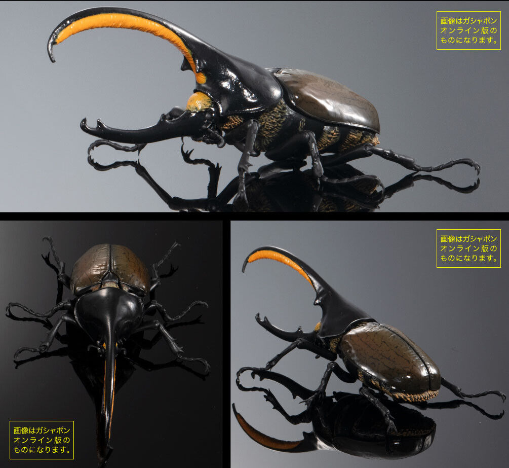 The Diversity of Life on Earth Advanced Hercules Beetle Figure Septentrionalis