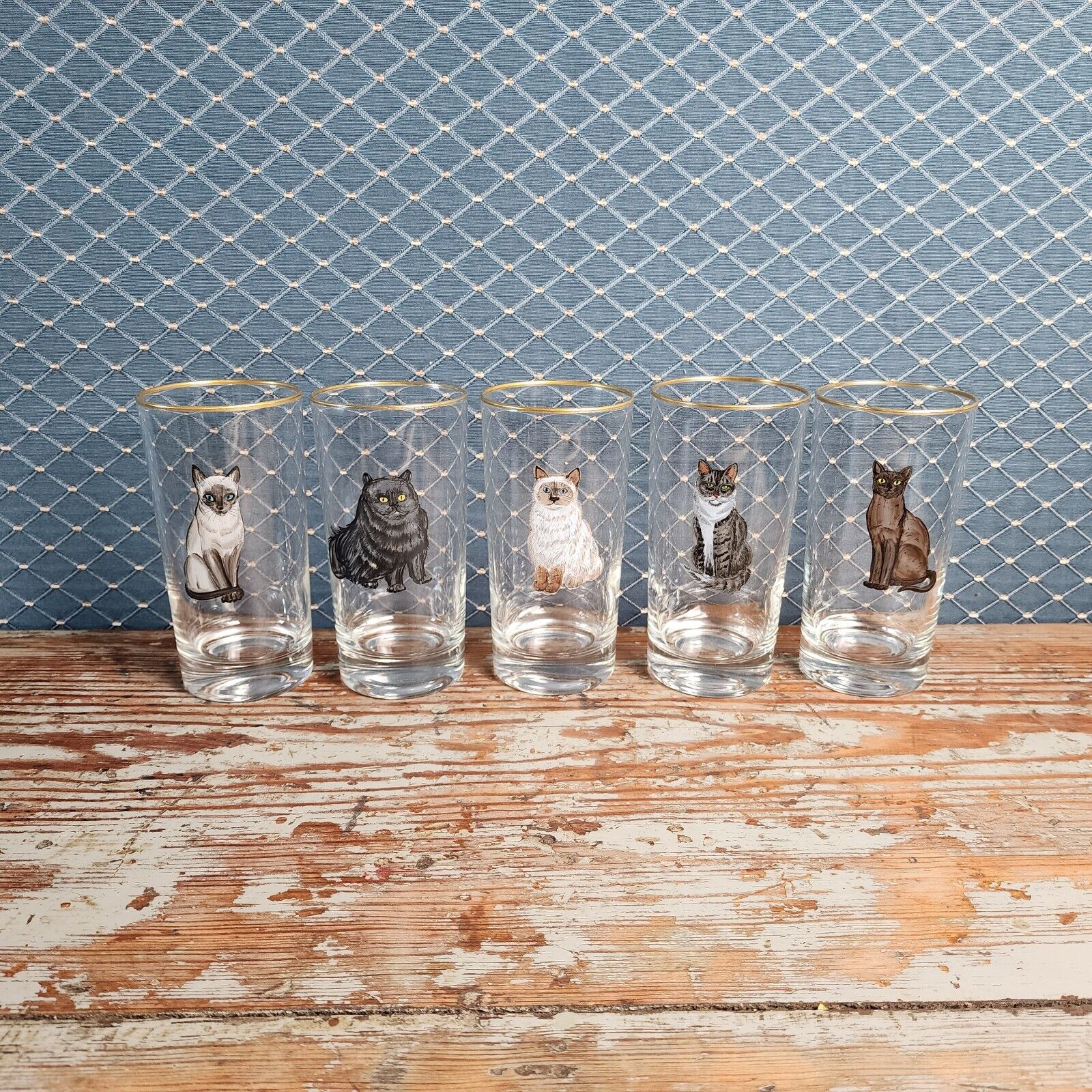 Rare Vintage Cat Drinking Glasses Tea Glass Gold Rim Realistic Detailed Set Of 5