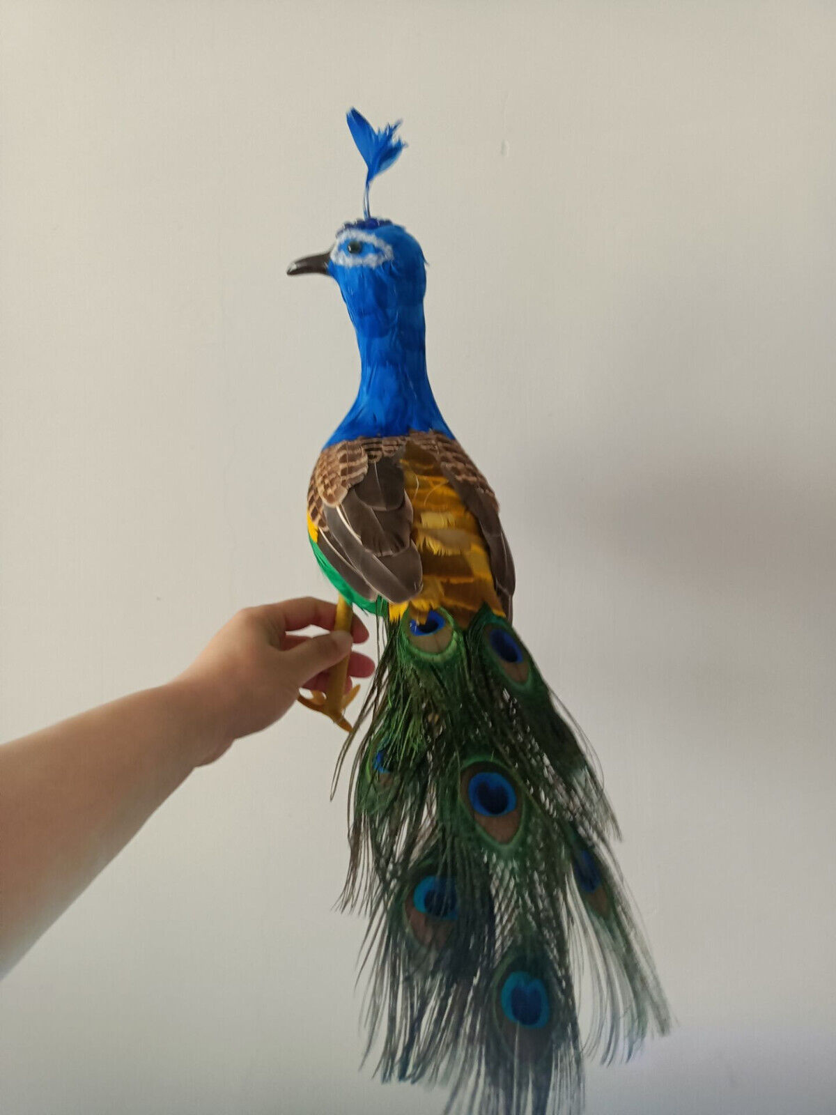 cute colorful foam&feather simulation peacock model toy bird gift 45cm