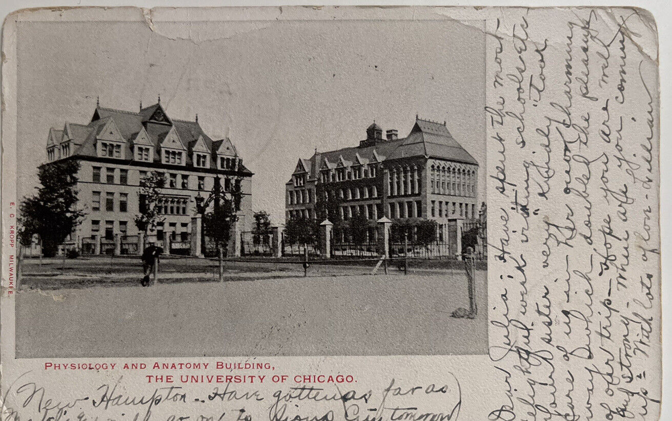Chicago University UDB 1907 Physiology And Anatomy Buildings