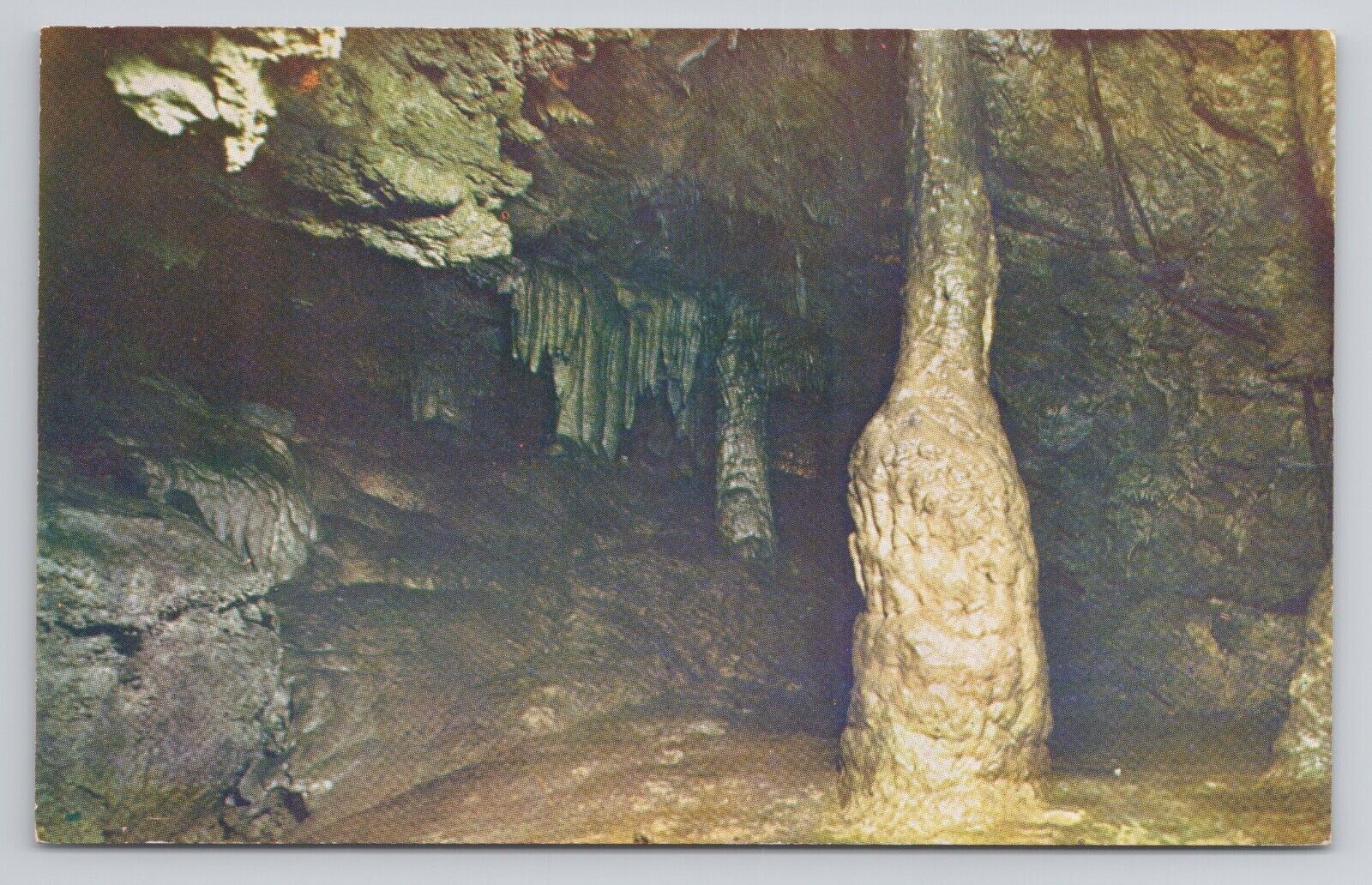 Oregon Caves Oregon Postcard 3507