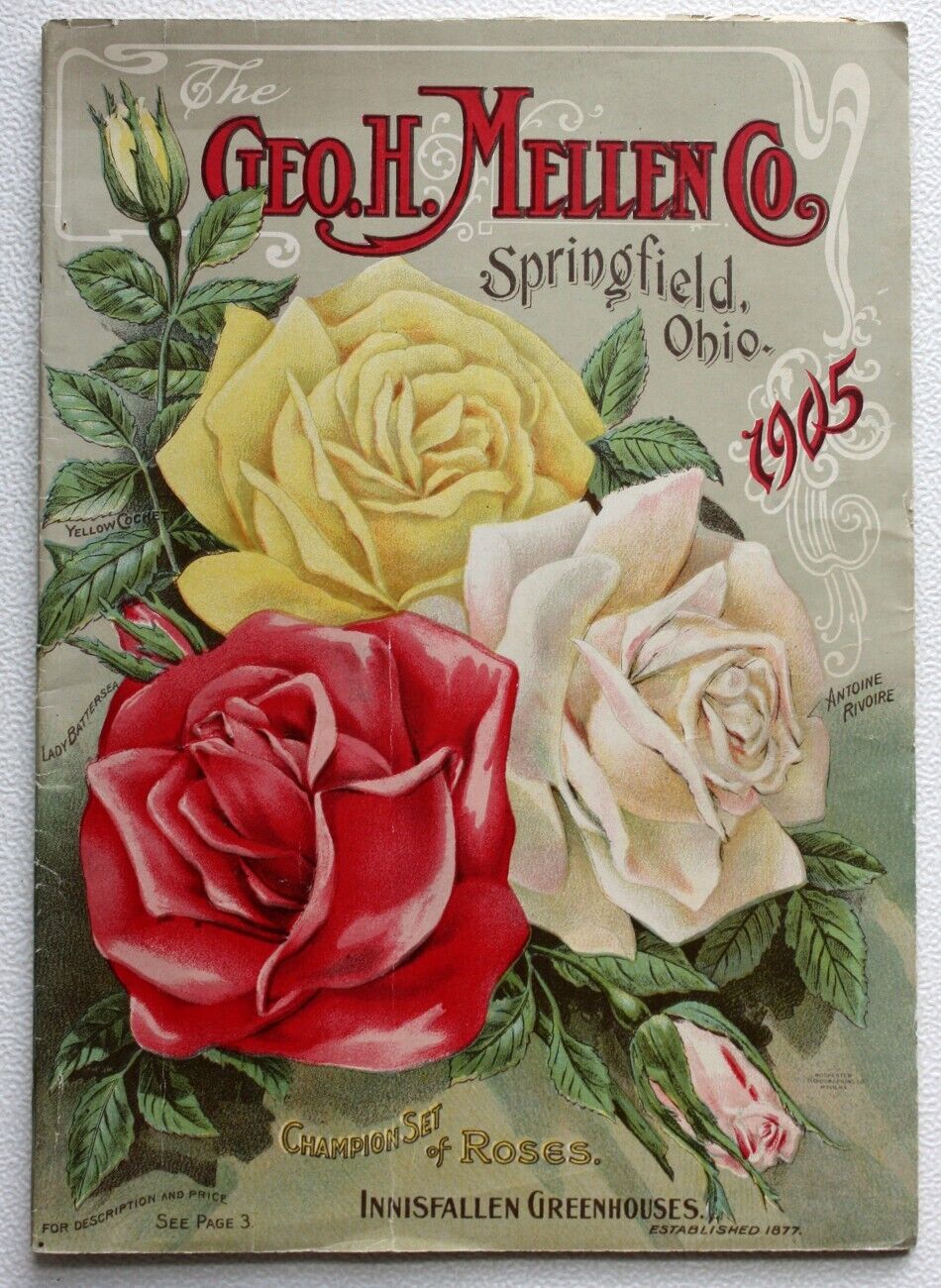 Rare Antique ORIGINAL 1905 GEO. H. MELLEN ROSE & FLOWER & FRUIT CATALOG Complete