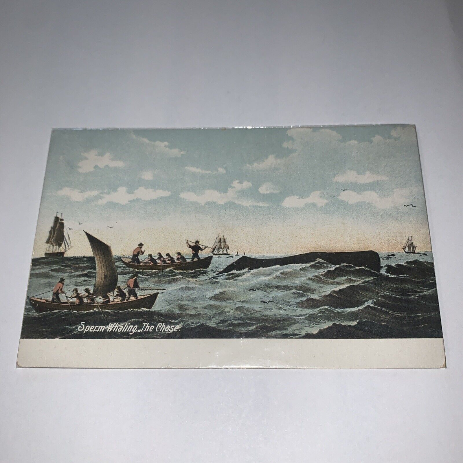 Vintage Postcard Sperm Whaling The Chase Fishing Themed