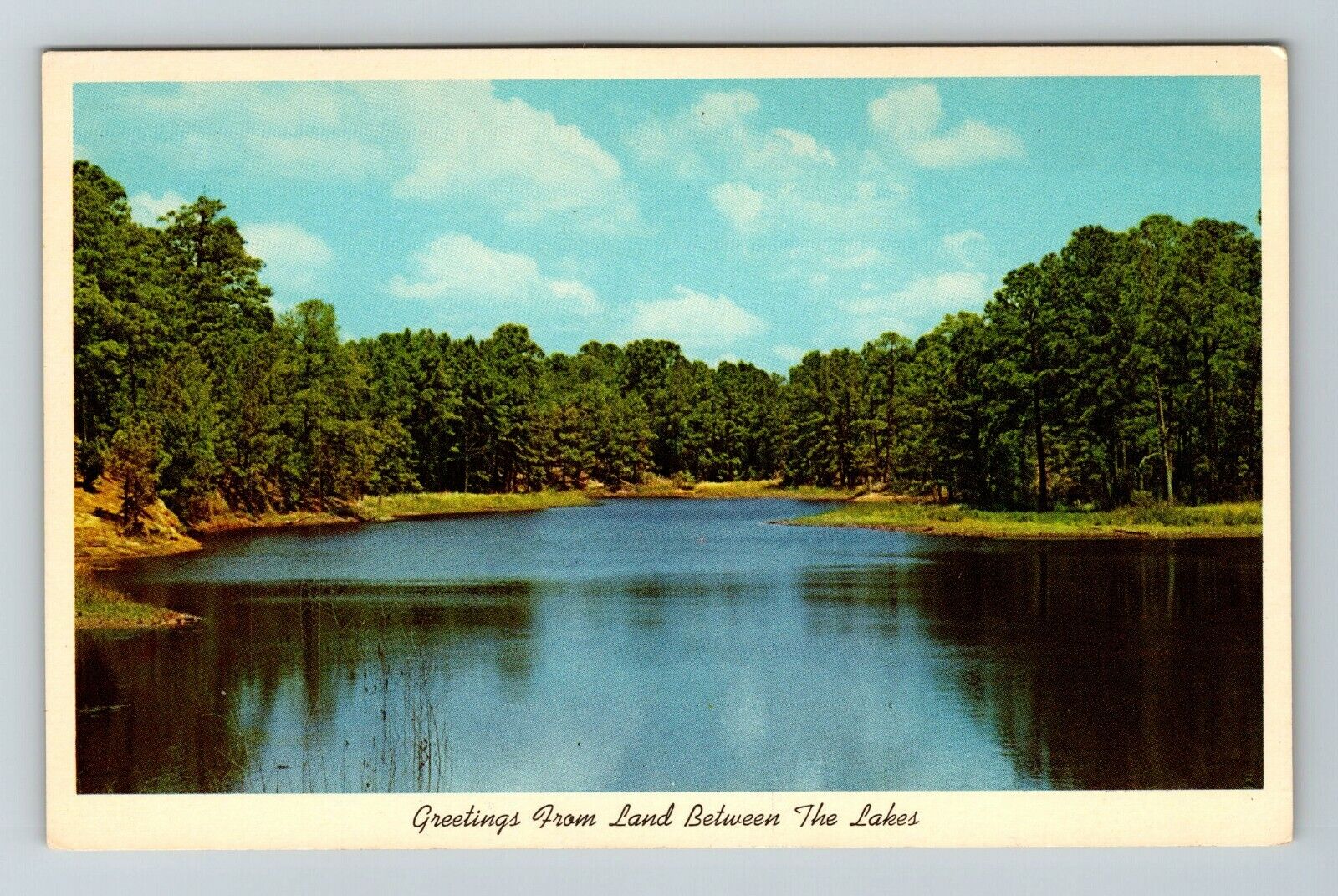 Between The Lakes Recreational KY-Kentucky Scenic View  Vintage Postcard