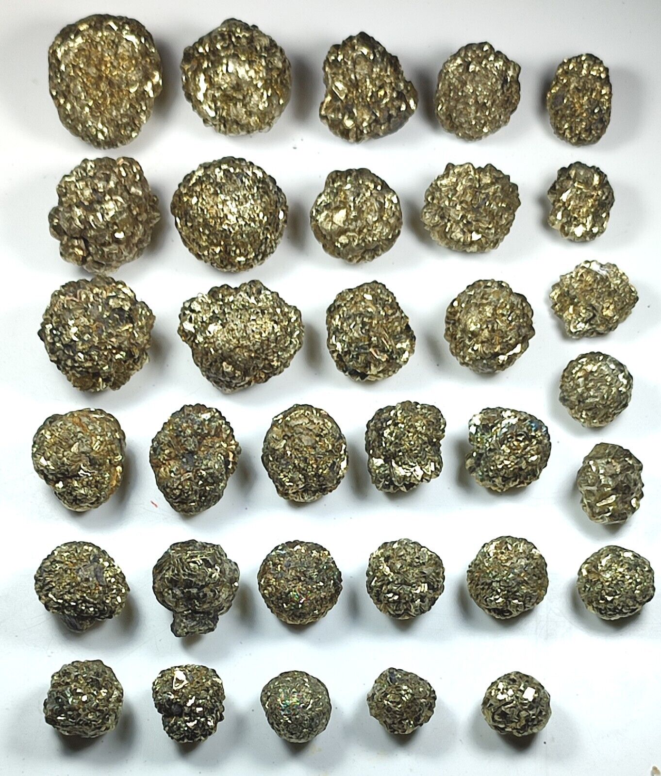 33 PCS NEW FIND Golden Marcasite/Pyrite Crystals with Star Formation- Pakistan 