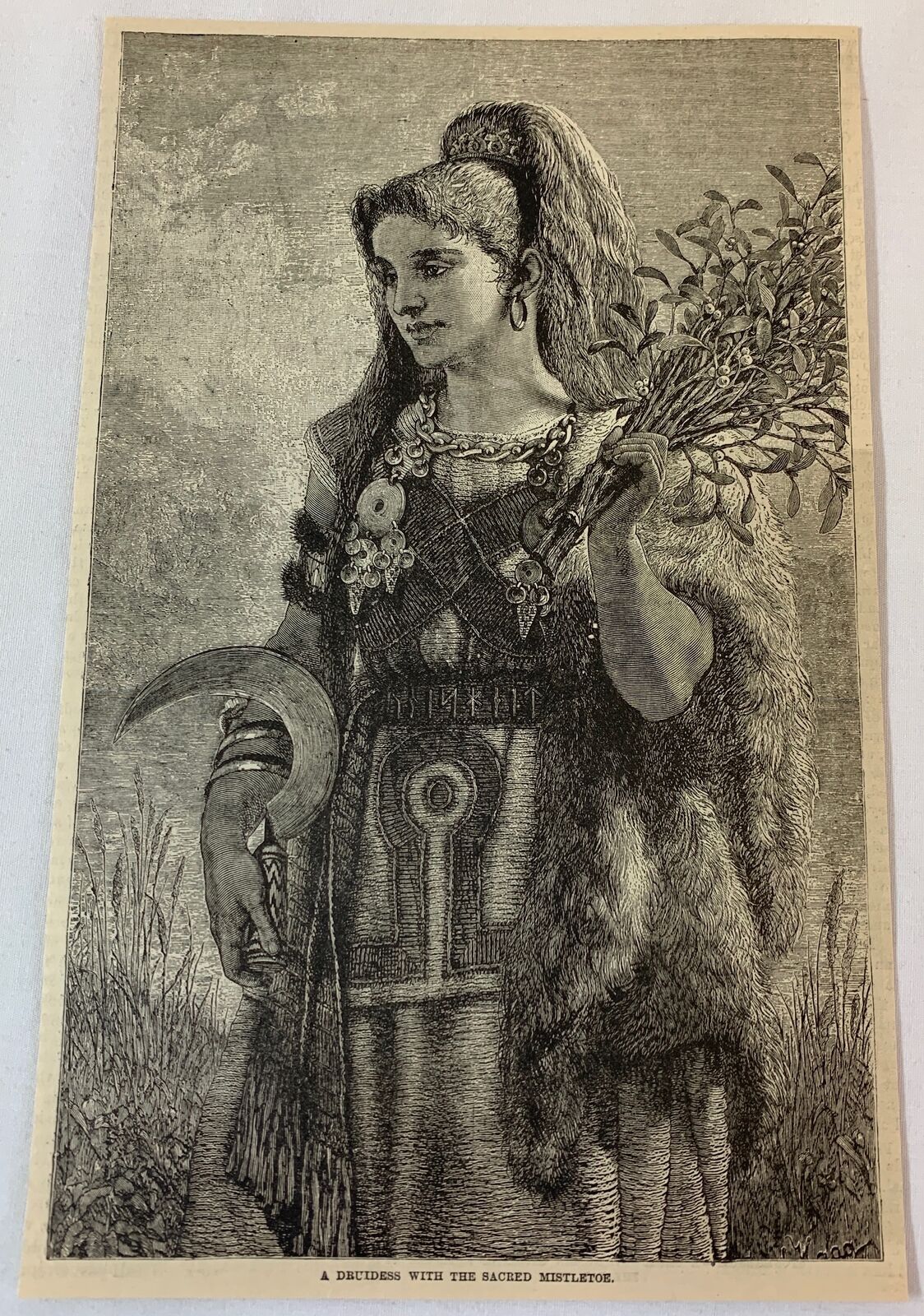 1886 magazine engraving ~ DRUIDESS WITH SACRED MISTLETOE
