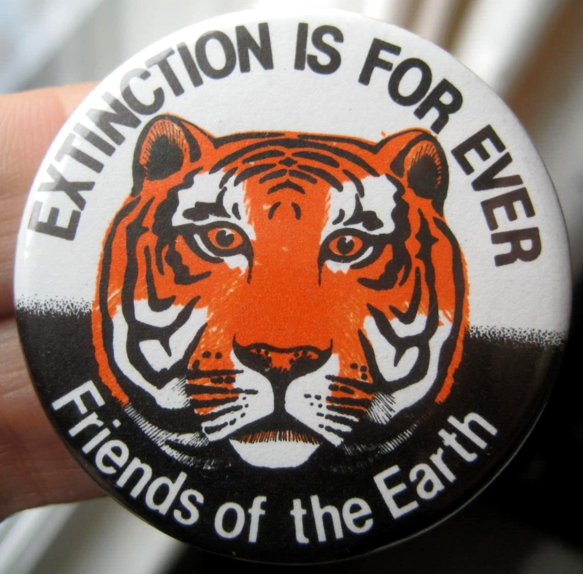 FRIENDS OF THE EARTH vintage 1970s EXTINCTION IS FOREVER campaign 45mm pin BADGE