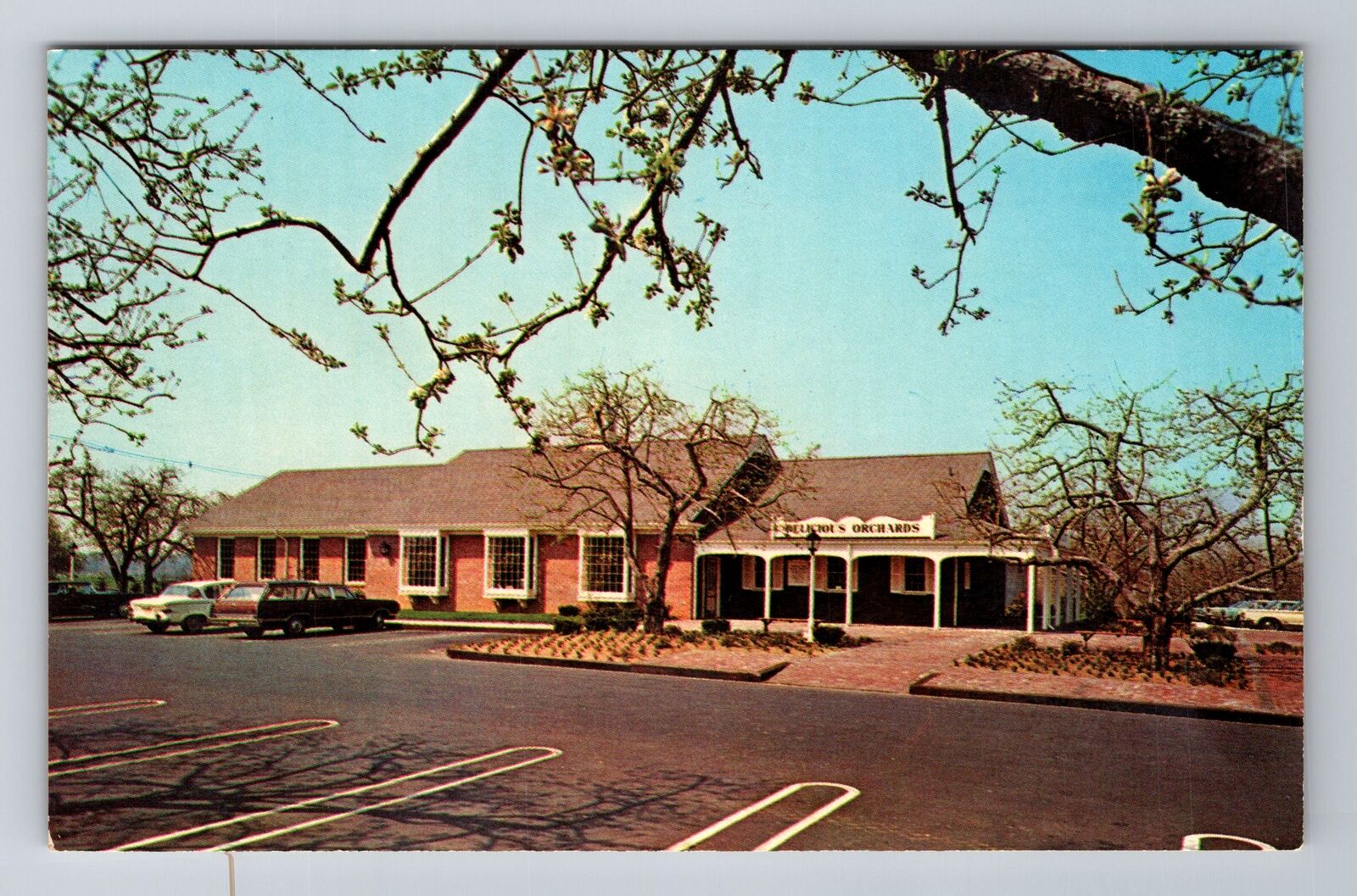 Colts Neck NJ- New Jersey, Delicious Orchards, Antique Souvenir Vintage Postcard