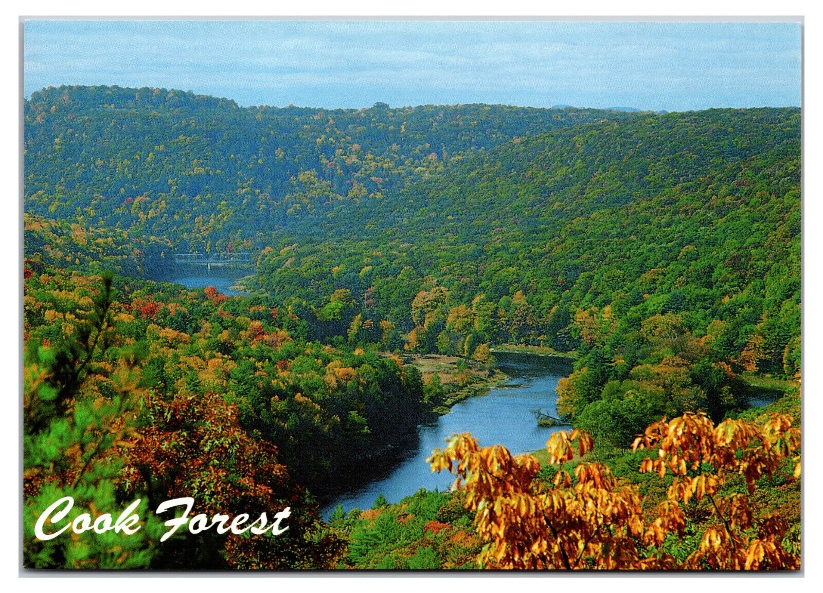 Vintage 1990s - Seneca Point - Cook Forest, Pennsylvania Postcard (UnPosted)