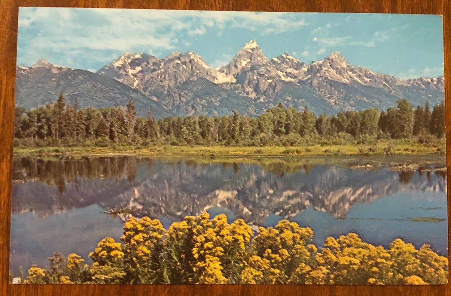 Postcard Goldenrod in bloom, Blacktail ponds Grand Teton National Park, Wyoming
