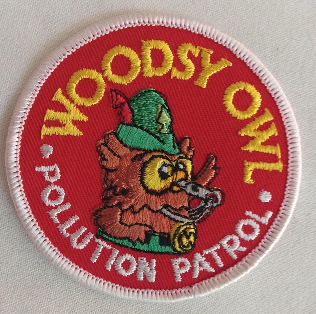 Vintage WOODSY OWL Patch-\