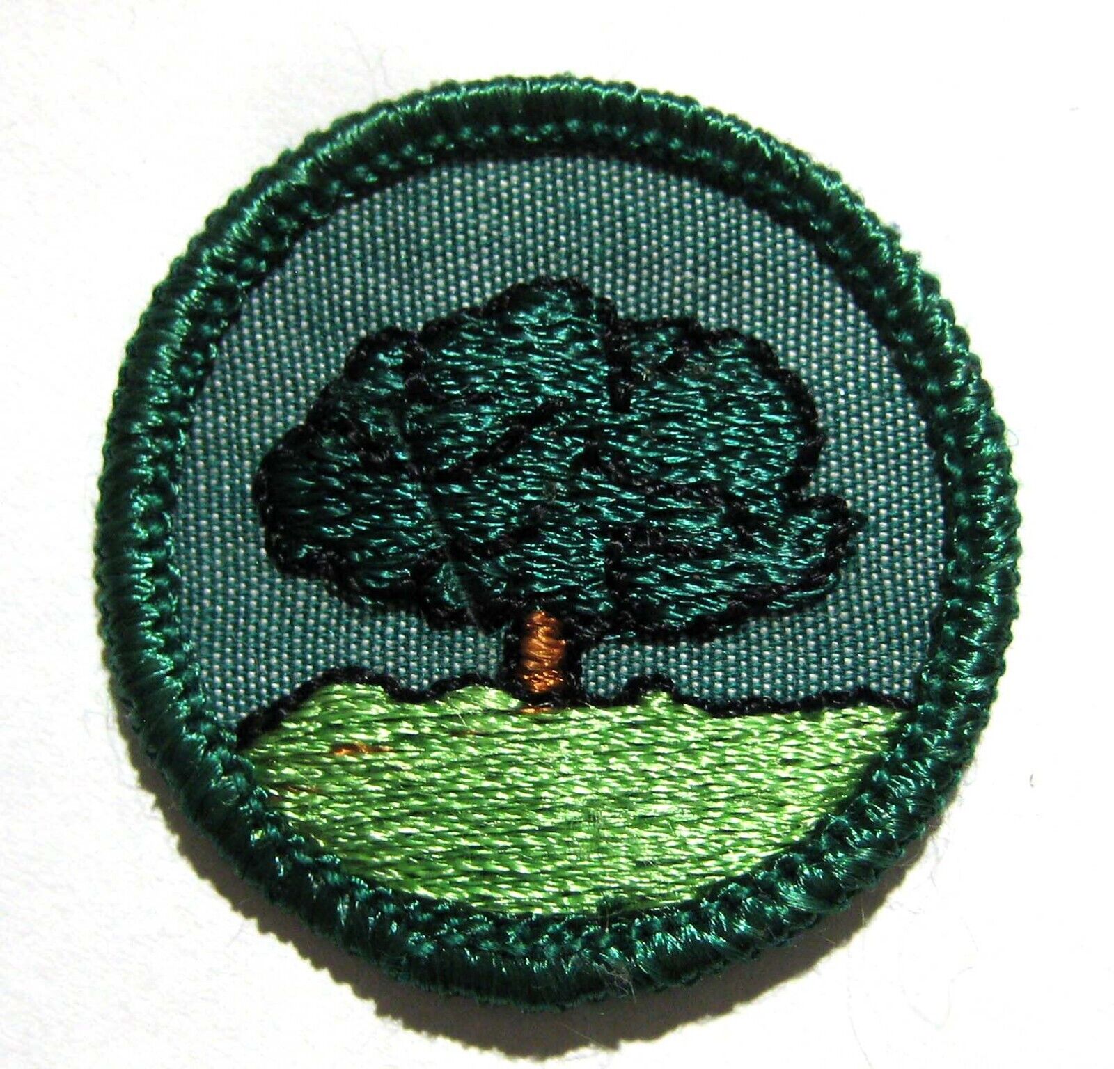 Rare 1960 Girl Scout TREE BADGE Oak Mulberry Finder Dendrology Patch TRANSITION