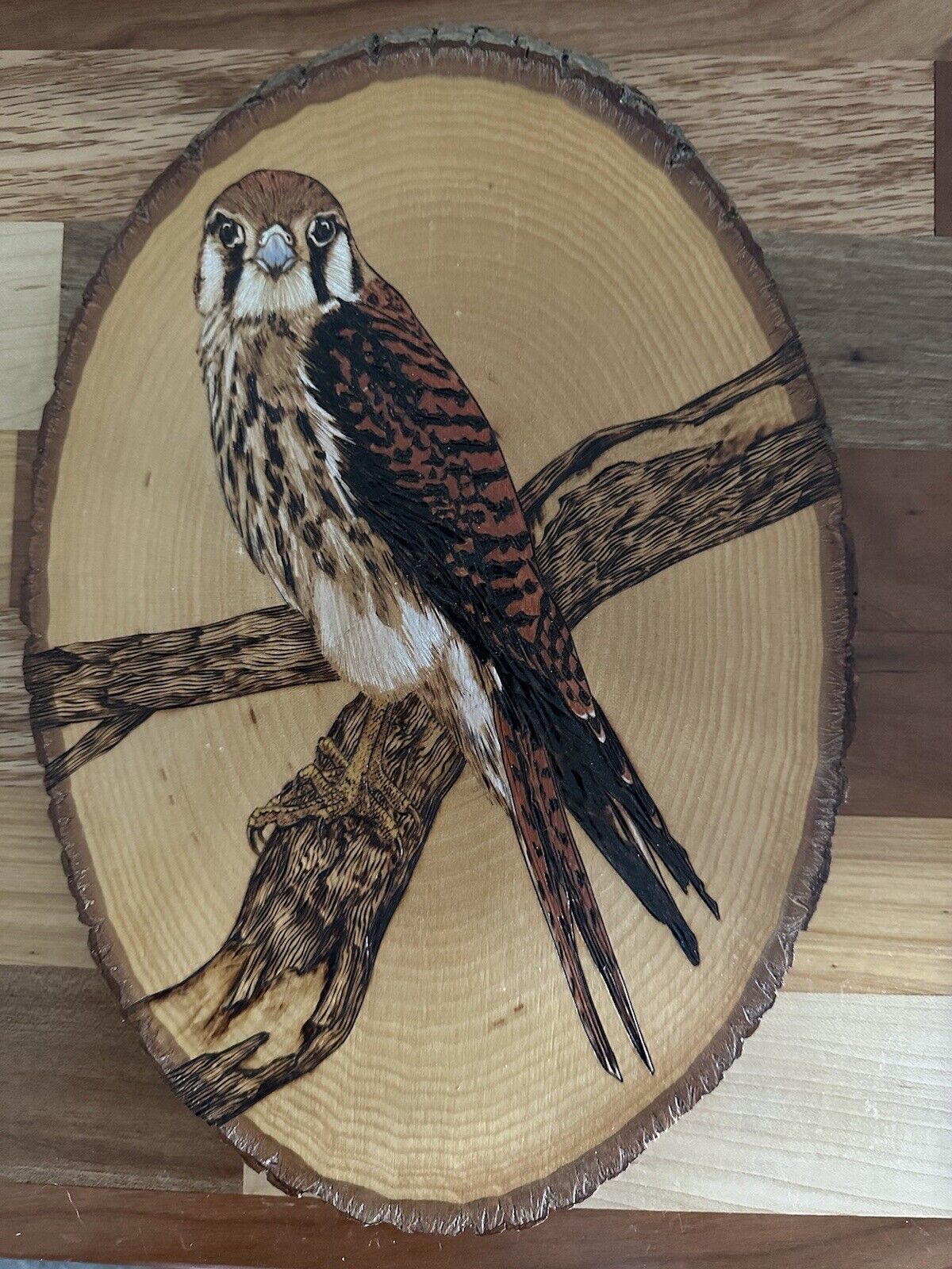 Red Tail Hawk Woodcarving American Kestrel Wood Burning Art Signed Majestic Bird