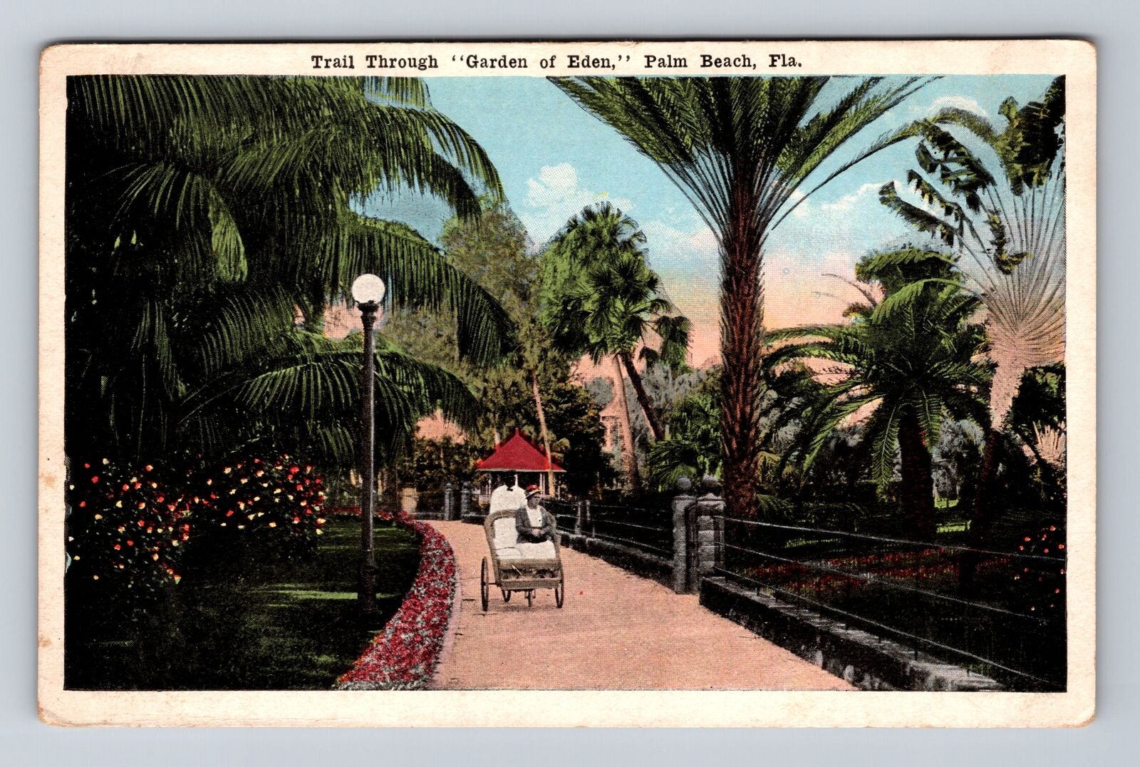 Palm Beach FL-Florida, Trail Through Garden of Eden, Antique Vintage Postcard