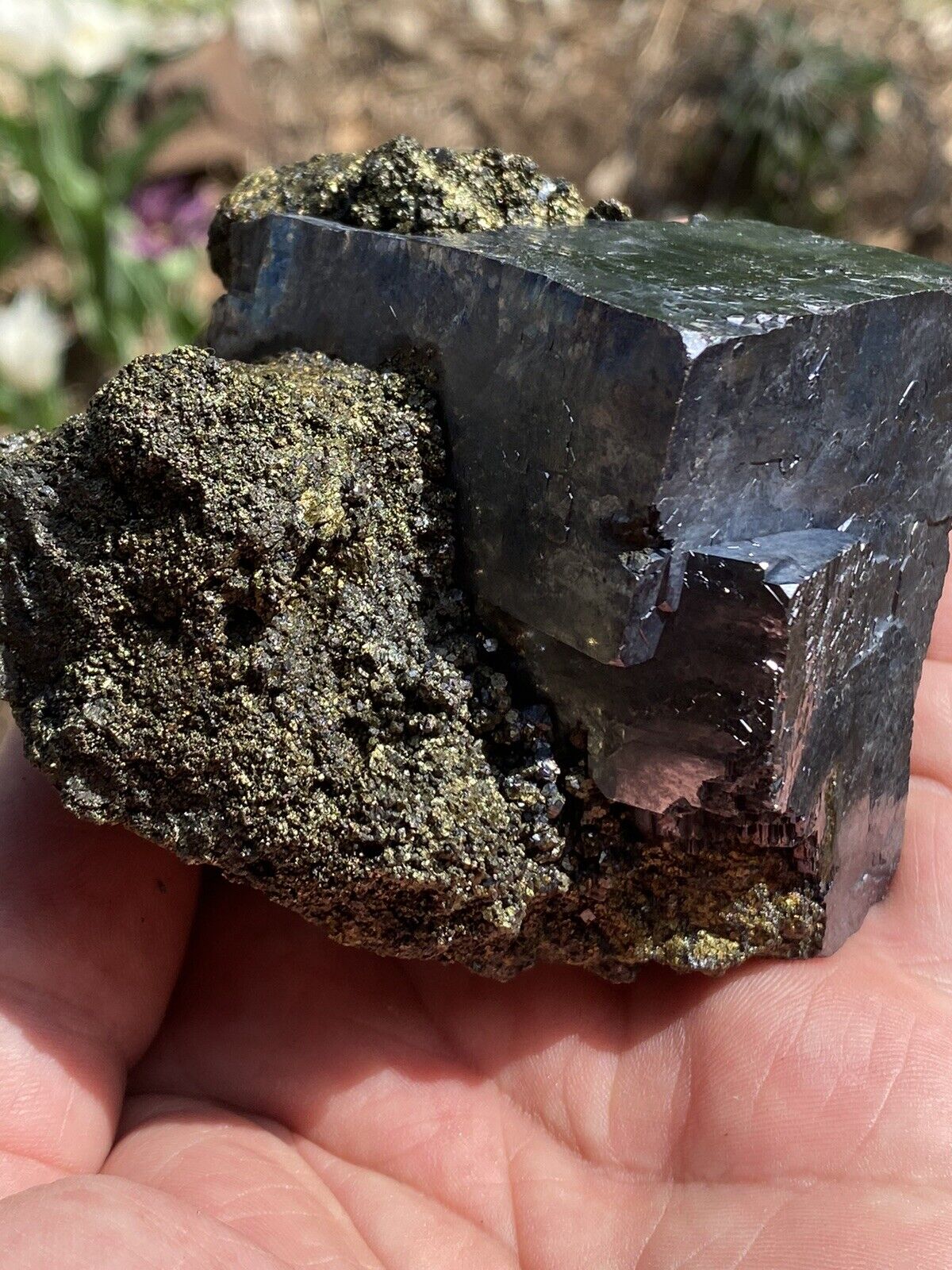 Galena with Pyrite. Buick Mine Viburnum Trend