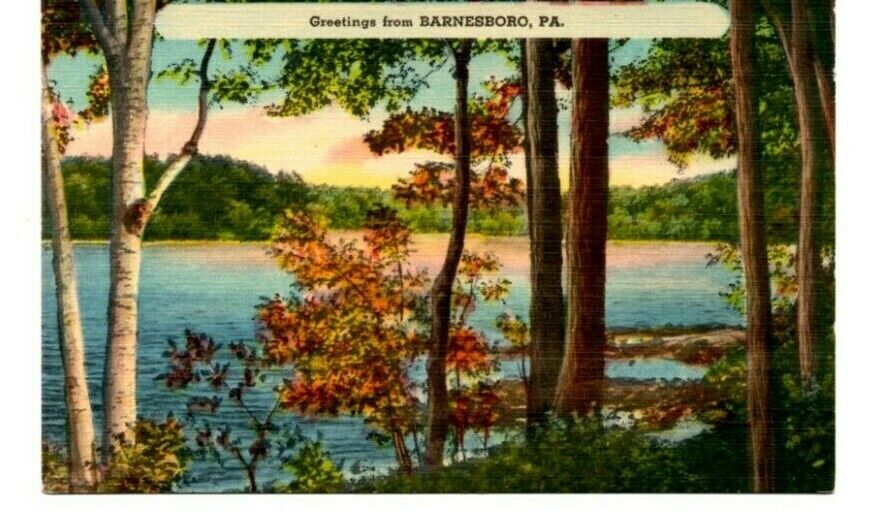 Barnesboro Pennsylvania Greetings Vintage Scenic Lake Scene Postcard PA B5