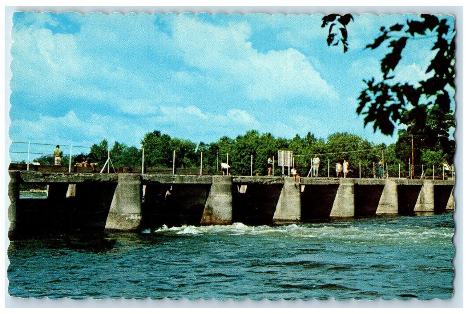 c1950's A View of the Dam at Picturesque Bobcaygeon Ontario Canada Postcard