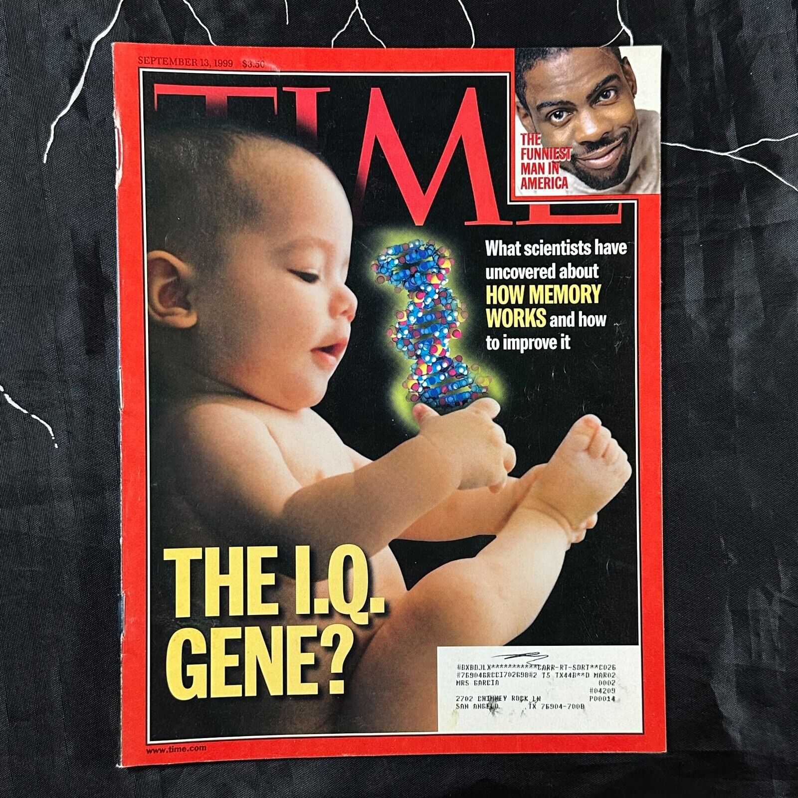 Time Magazine September 13, 1999- The I.Q. Gene- How Memory Works