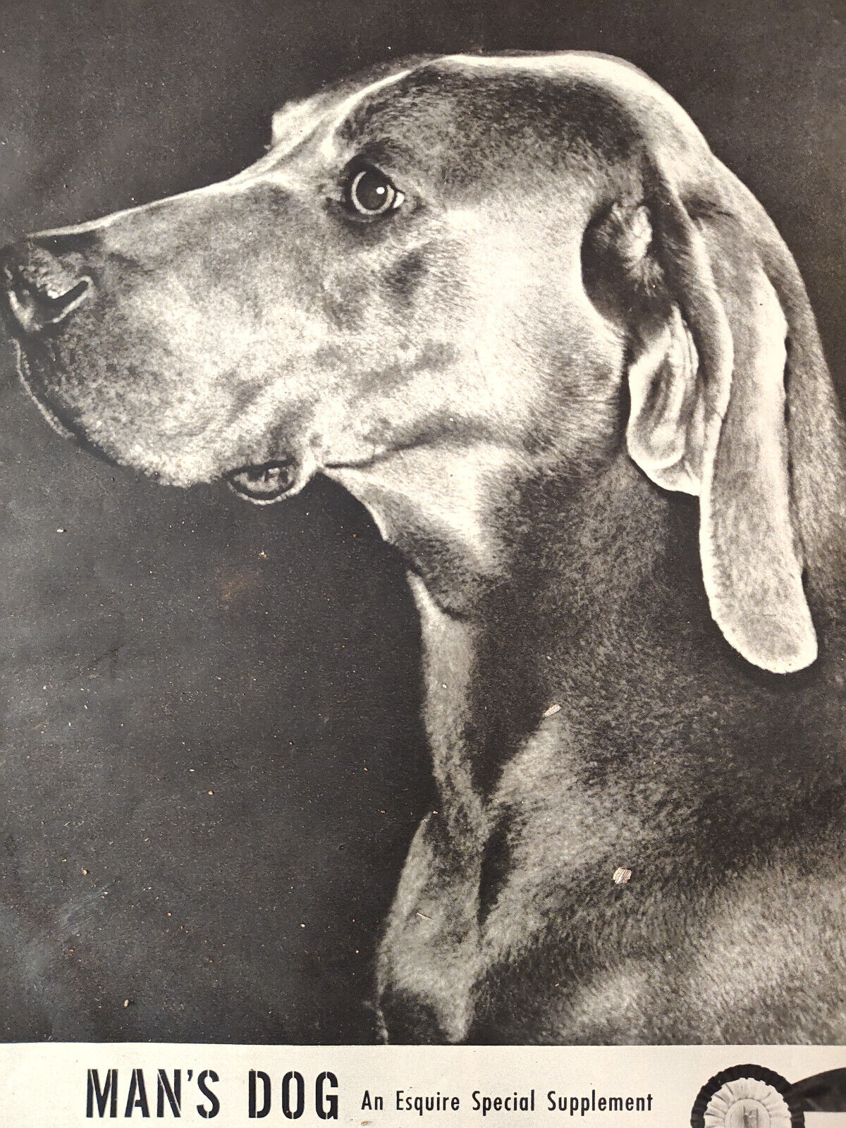 1949 Original Esquire Art Supplement MAN's DOG Mens Popular Dogs Special