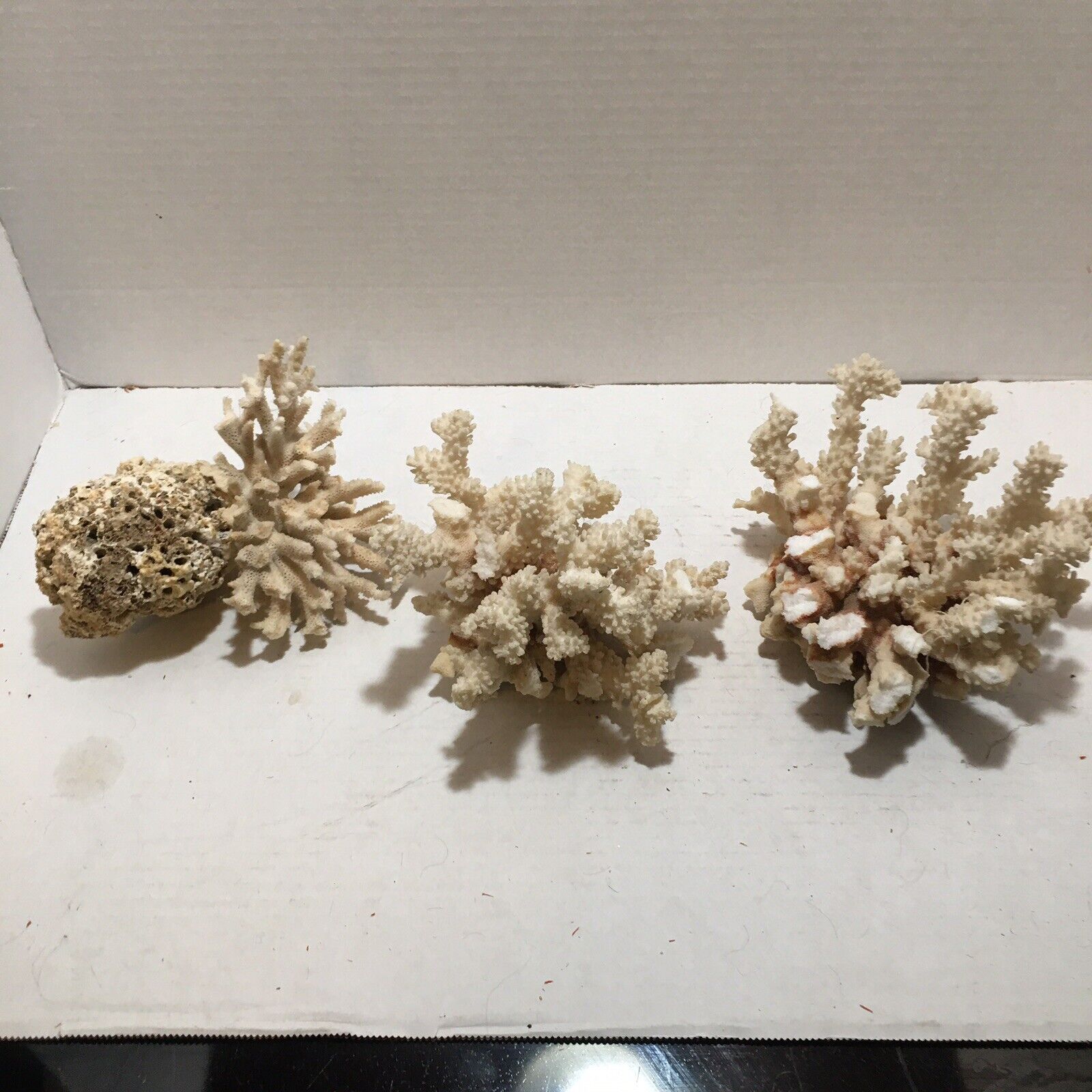 Lot 3 Vintage Coral Pieces.