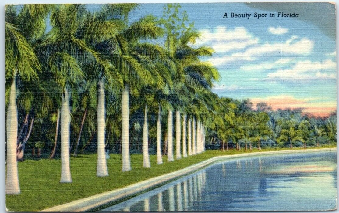 Postcard A Beauty Spot in Florida USA North America