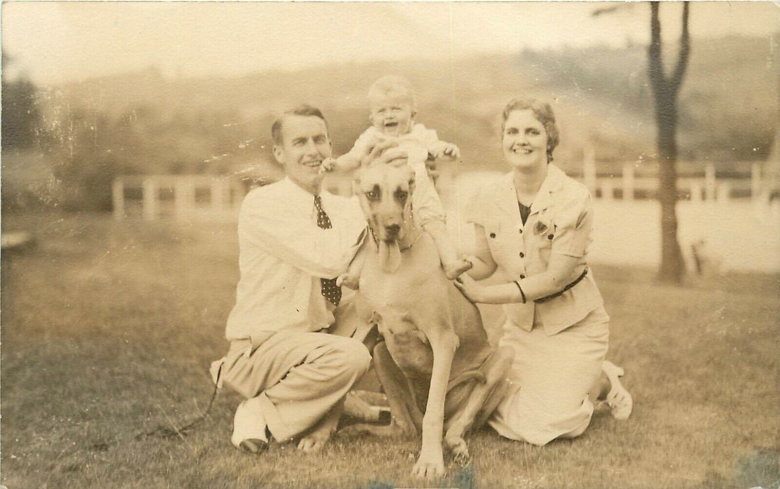 c1930 RPPC Portrait Young Couple on Lawn w Baby Sitting on their Great Dane Dog
