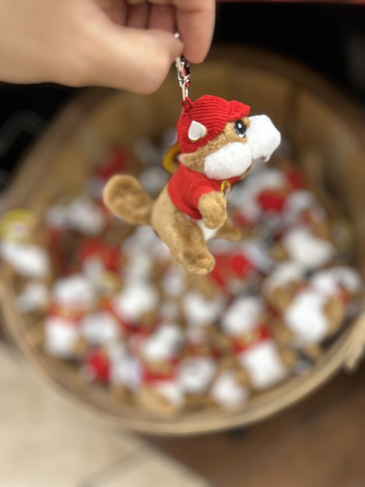 Buc-ees Keychain Souvenir Plush Good For Gift Collectibles. Buy More For Saving.