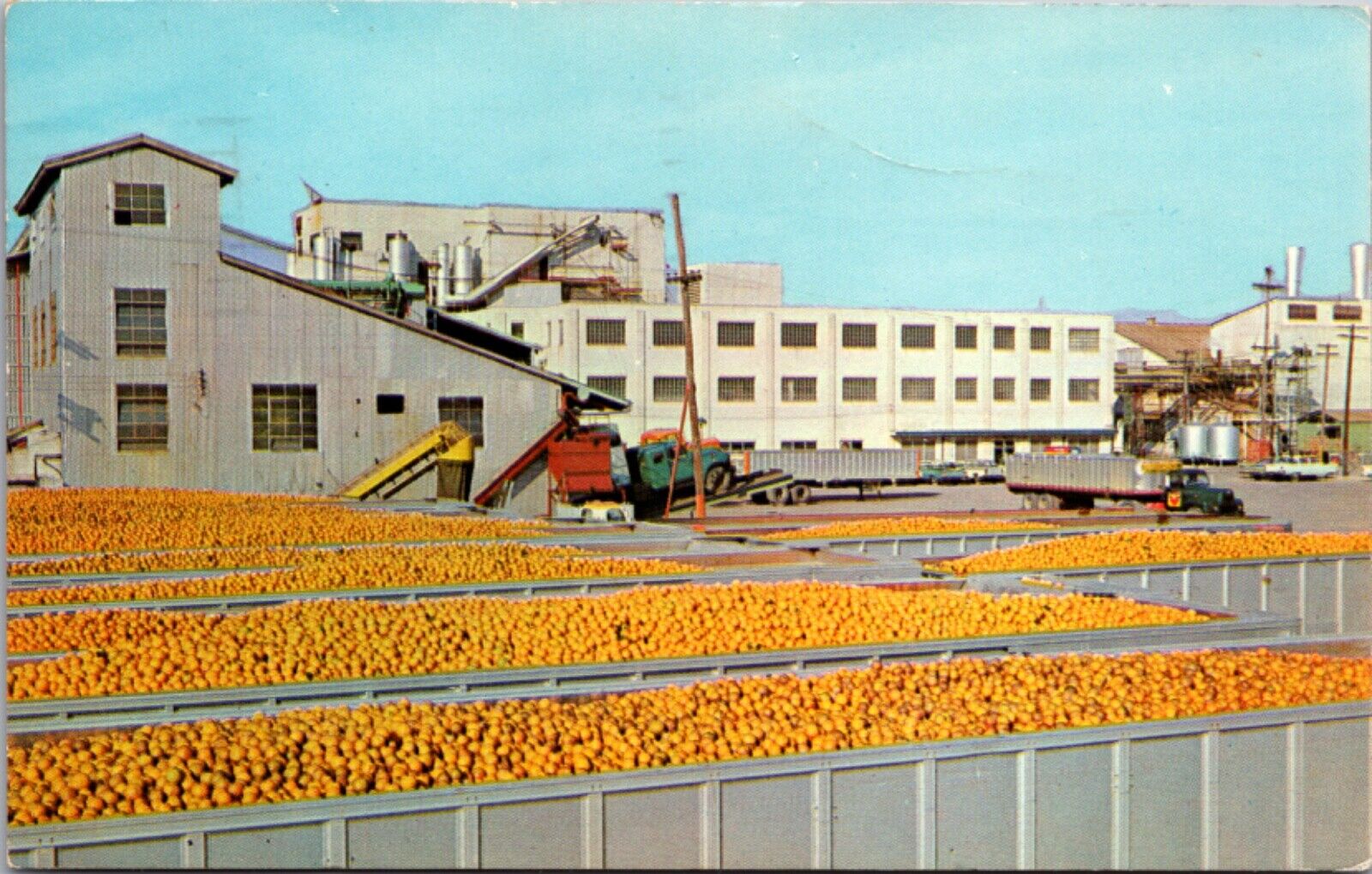 Postcard Oranges at Minute Maid Processing Plant in Florida