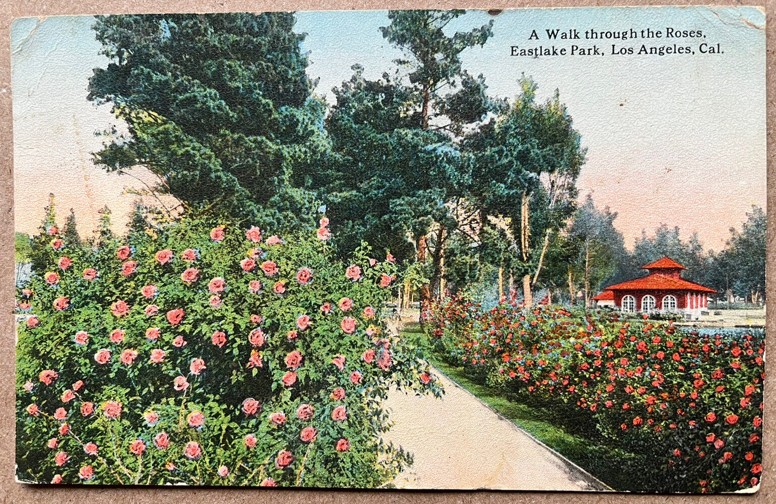 Los Angeles Eastlake Park Rose Walkway California Vintage Postcard c1910