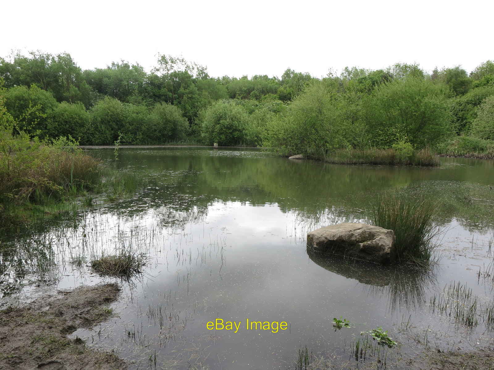 Photo 6x4 Pond, Silverlink Biodiversity Park, Shiremoor Murton This is on c2020