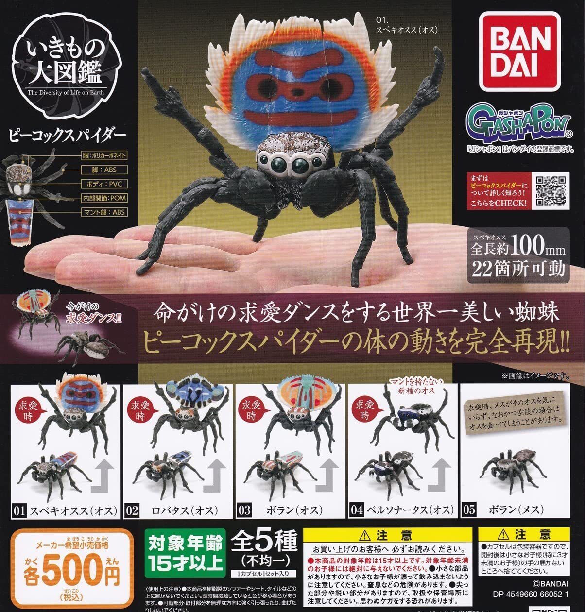 Peacock Spider BANDAI All 5 Type Complete set Figure Gashapon Capsule toys