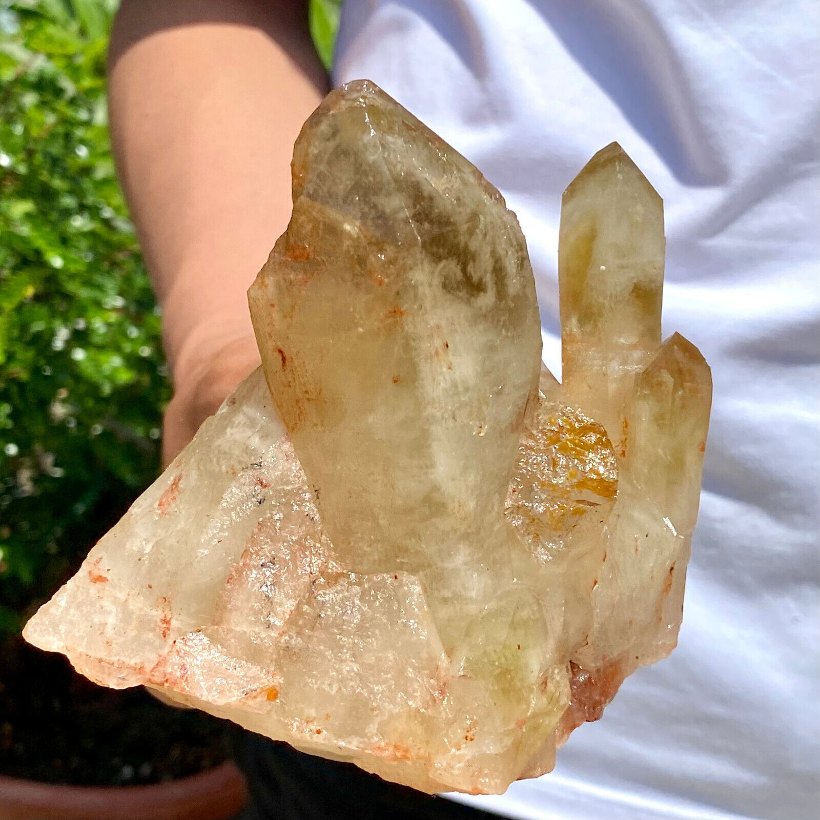 1.18LB Natural yellow Crystal Himalayan quartz cluster /mineralsls