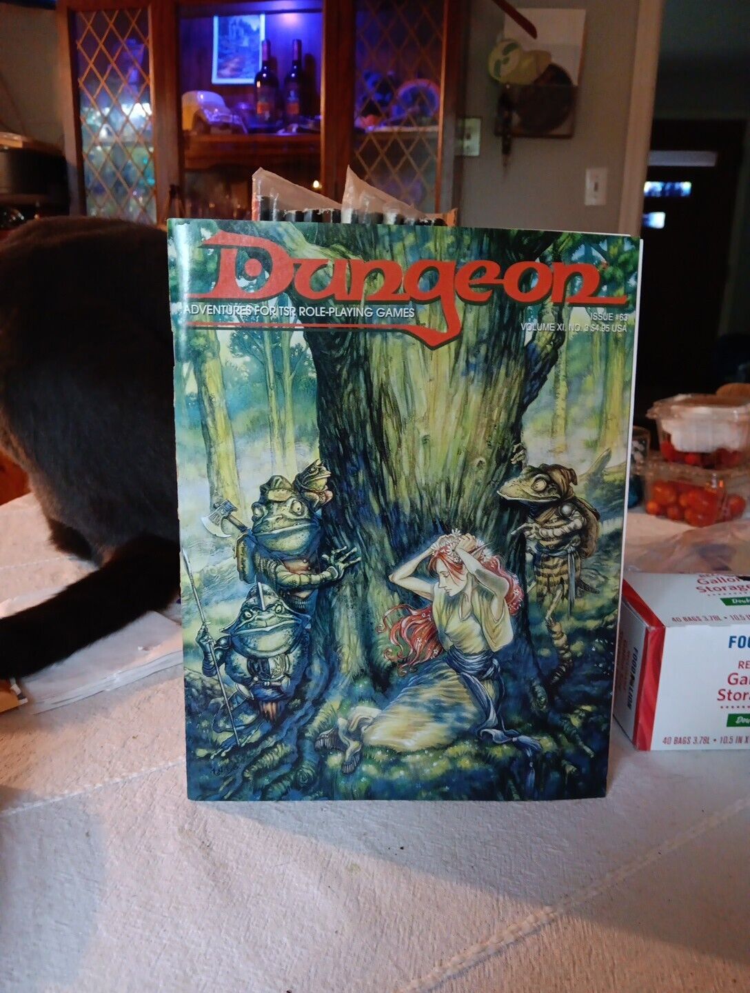 Dungeon Magazine #63 JANUARY/FEBRUARY 1997 WOTC TSR SEE OTHER D&D AUCTIONS
