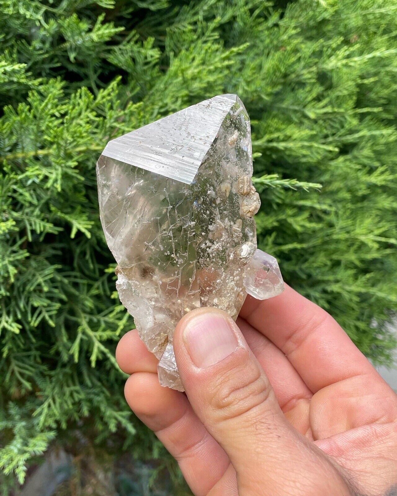 Natural Unique Formation Of Clear Quartz From The Himalayan Mountains Pakistan