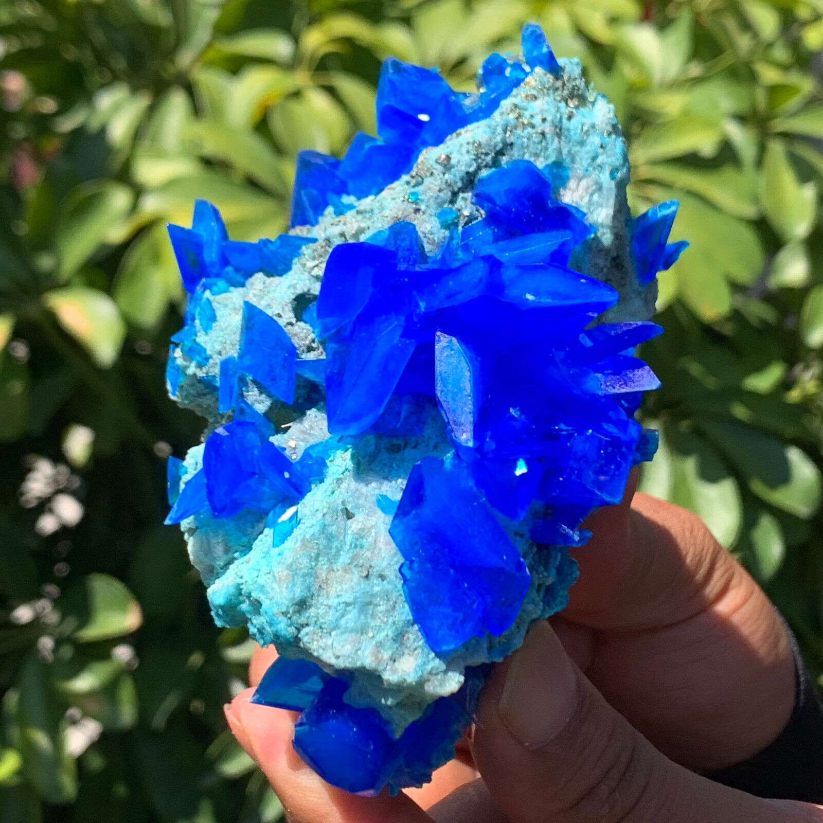 425G Natural blue copper sulfate mineral specimen healing