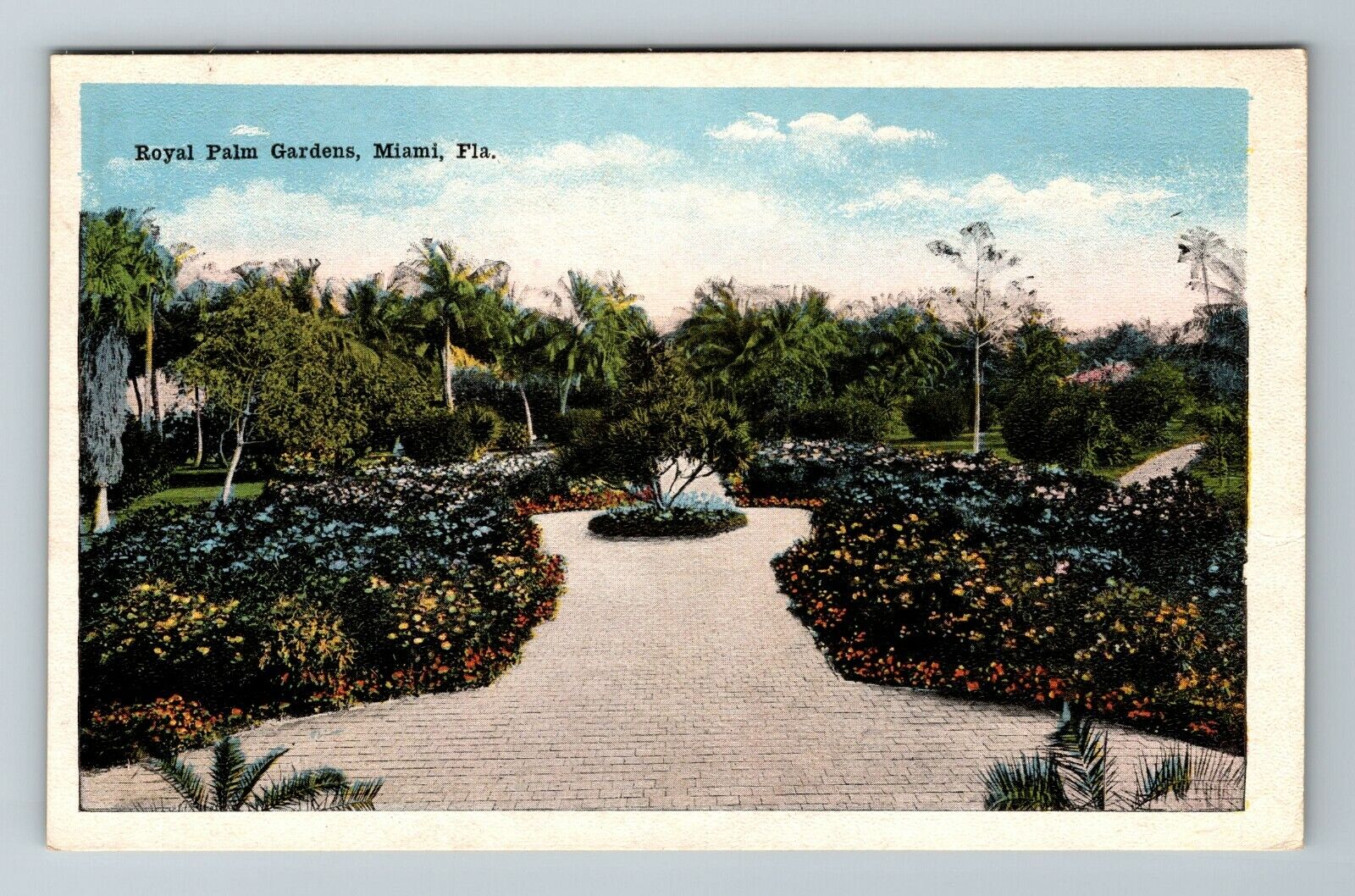 Miami FL-Florida, Royal Palm Gardens, Scenic Exterior, Vintage Postcard