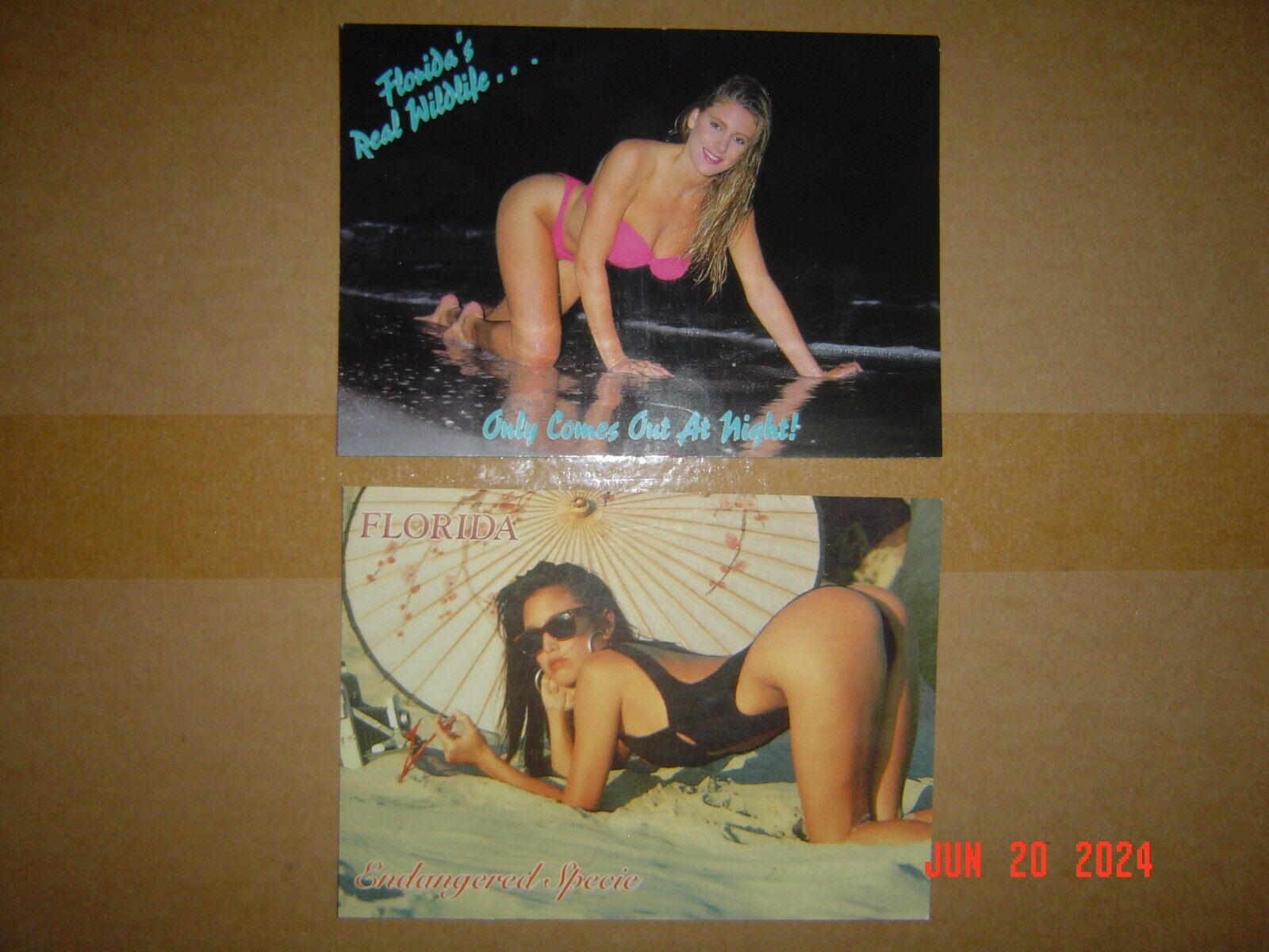 Sexy Postcards with Florida\'s Real Wildlife and Endangered Species - Lot of 2