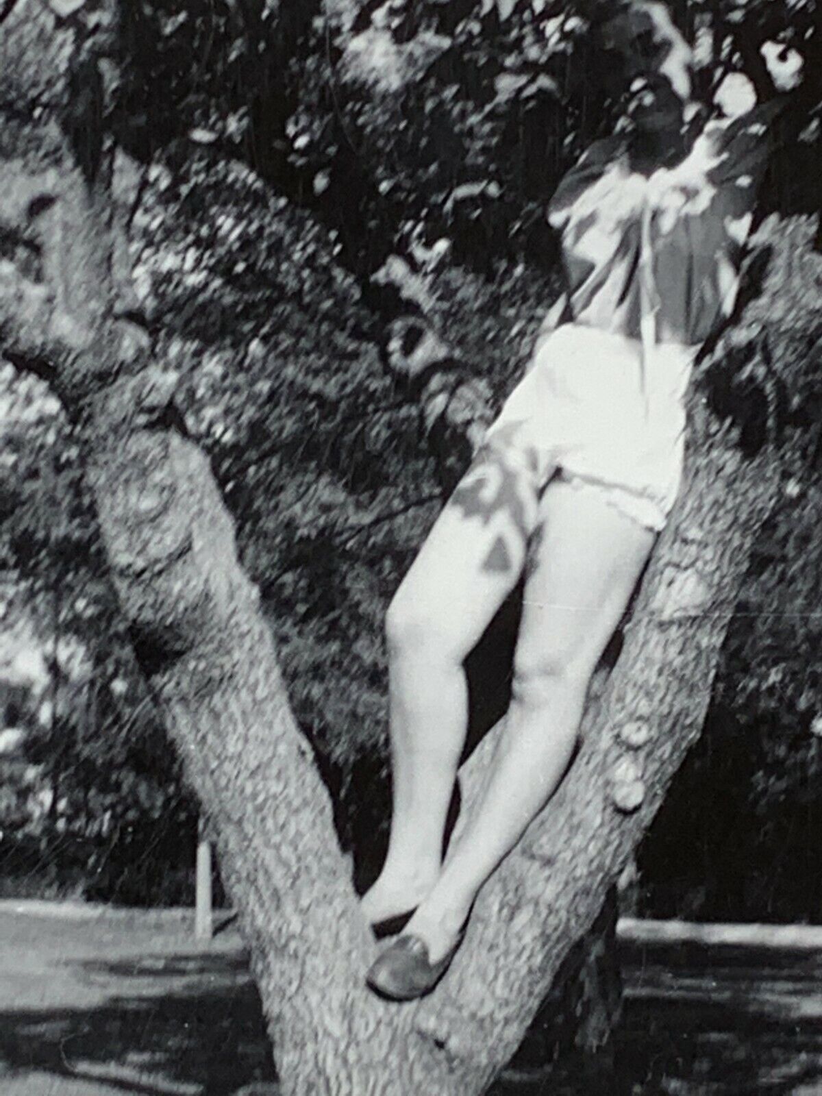 AgE Photograph Obscured Mysterious Shadow Beautiful Woman Climbing Tree Legs Hot