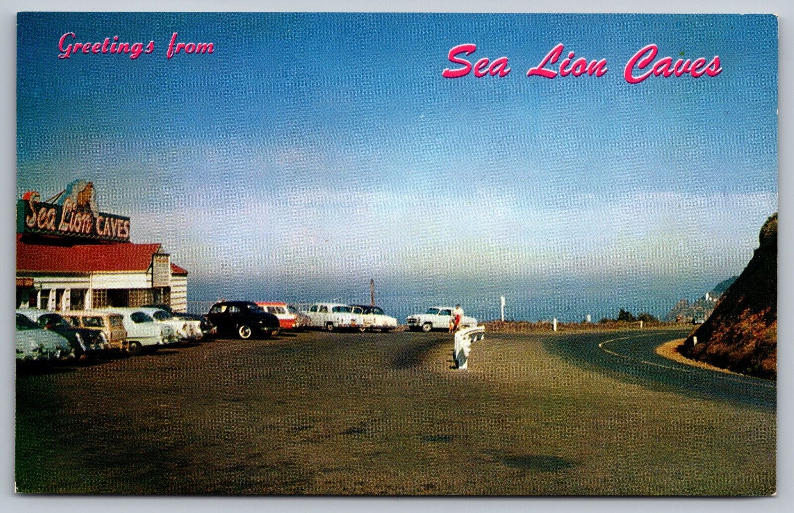 Greetings from Sea Lion Caves-Oregon Coast-VTG Postcard c1963–Vintage Cars-Rare