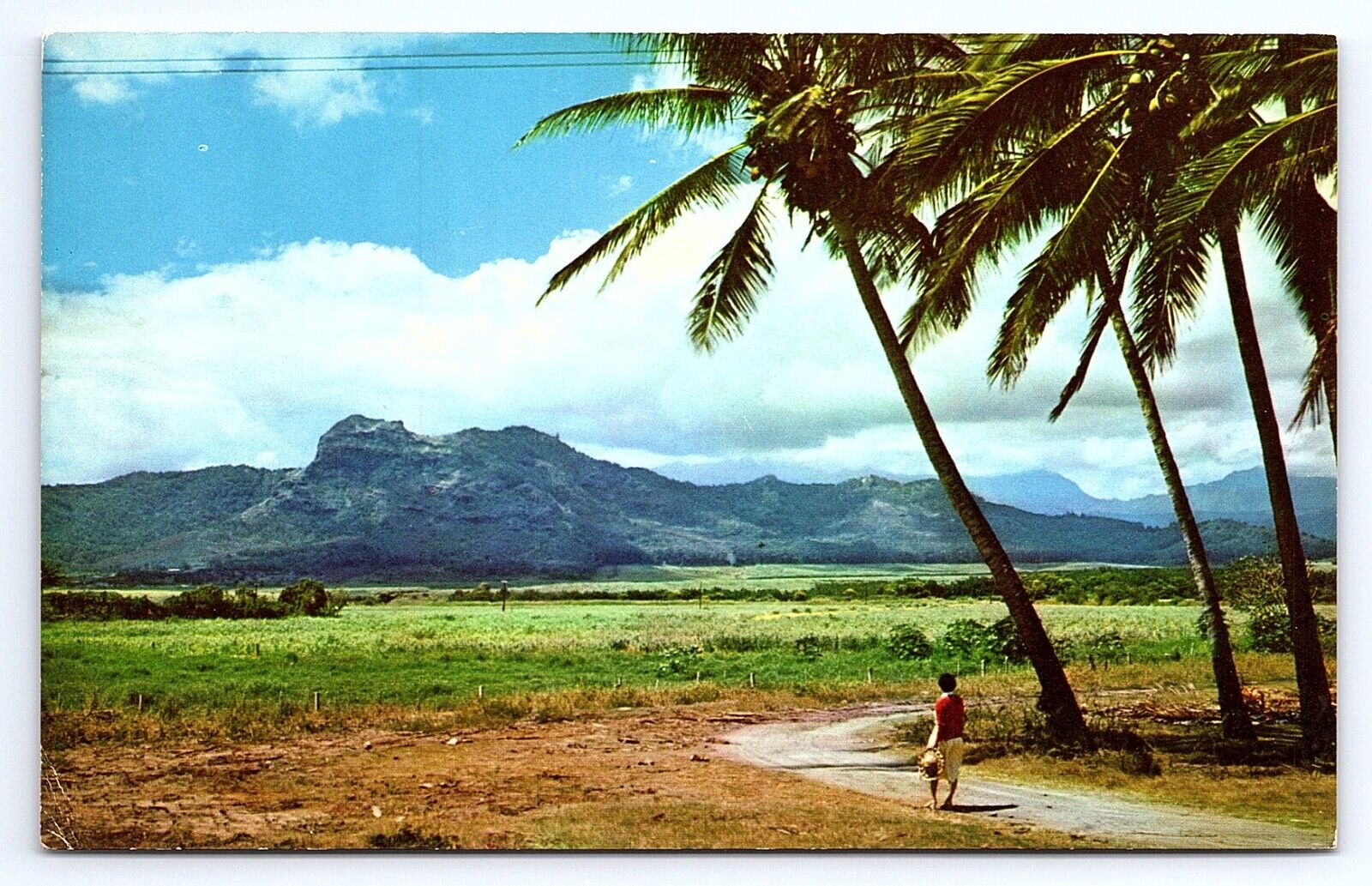 Postcard Sleeping Giant Kapaa Kauai Mountain Formation Hawaii HI