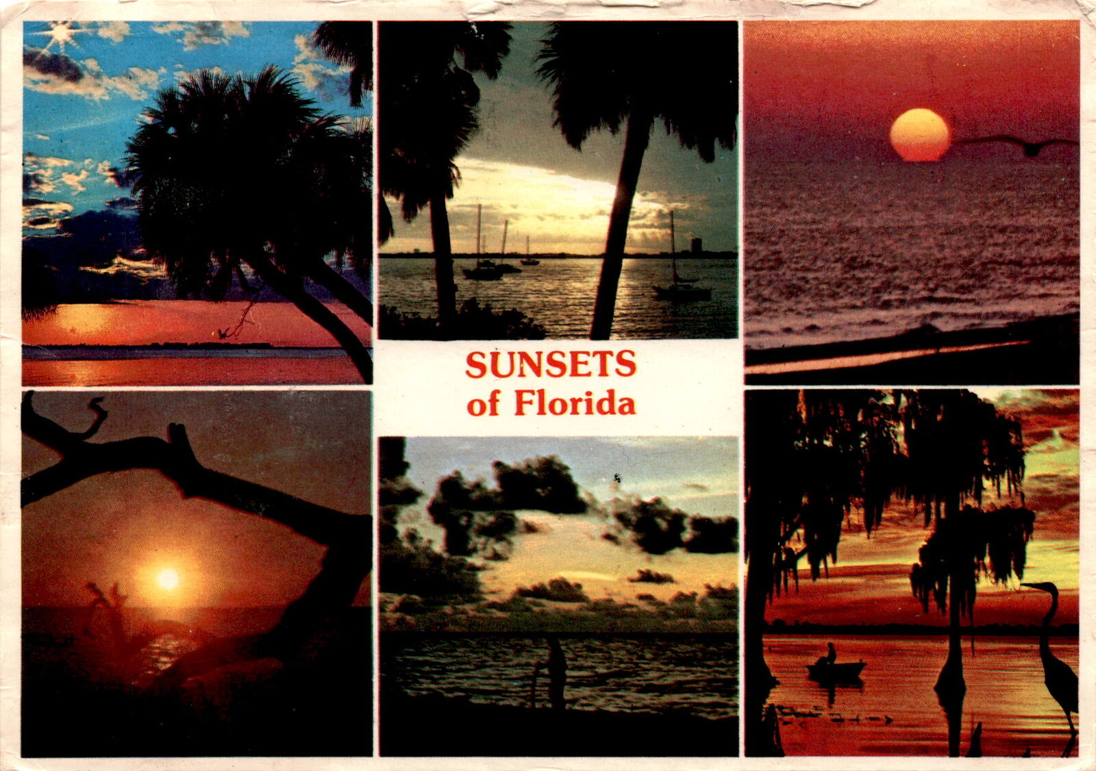 Florida, Sun Coast, United States, ocean, beaches, warm weather Postcard