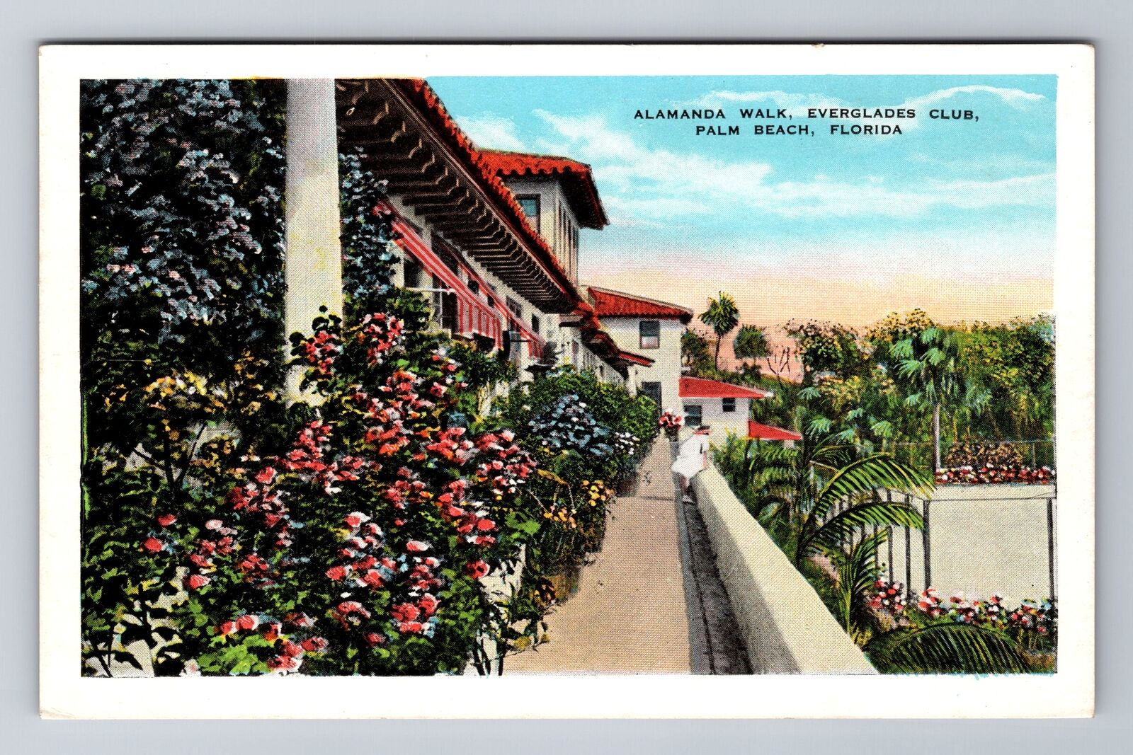 Palm Beach FL-Florida, Alamanda Walk Everglades Club, Antique Vintage Postcard