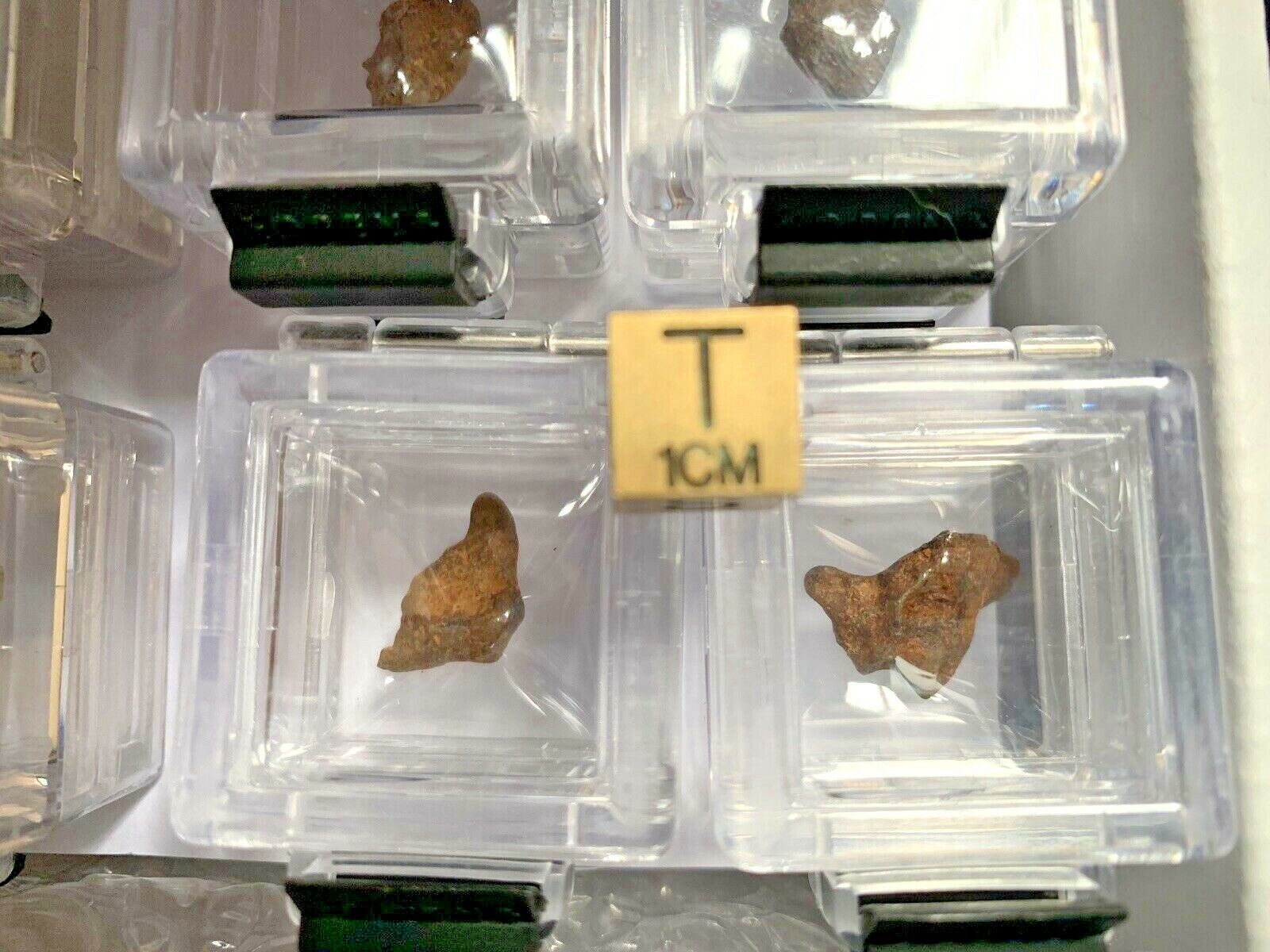 Iron Meteorites - Qty 72 Individually Acrylic Boxed AGOUDAL IIAB Iron - TOP