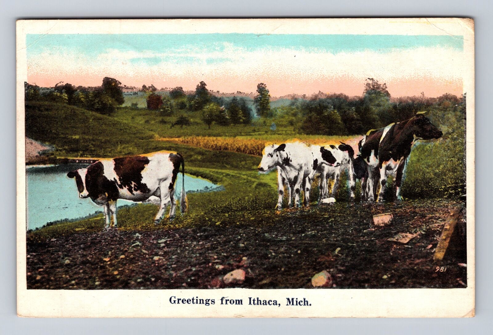 Ithaca MI-Michigan, Scenic General Greetings Cows, Vintage c1905 Postcard