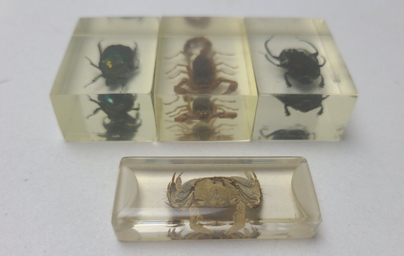 Vintage Real Scorpion Beetle Crab Dung Beetle in Lucite or Resin? Lot of 4
