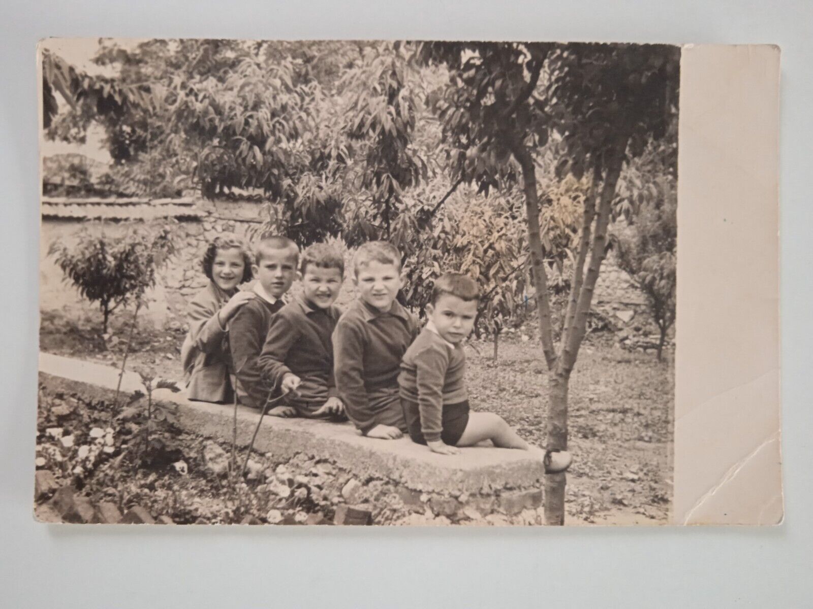 Four Cute Greek Boys & one Girl Original Vintage Old Photo SERRES GREECE RPPC