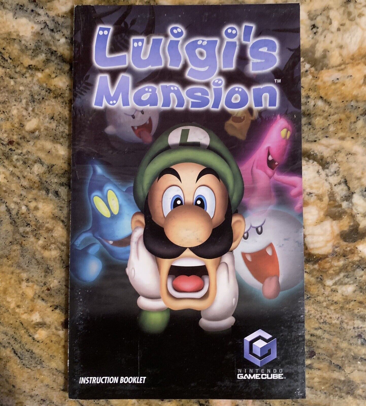 Nintendo GameCube Manual Instruction Booklet ONLY Luigi’s Mansion